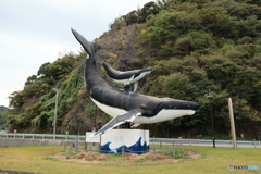 2025四国一人旅2-23