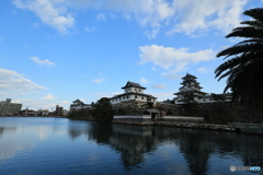 2025四国一人旅5-37