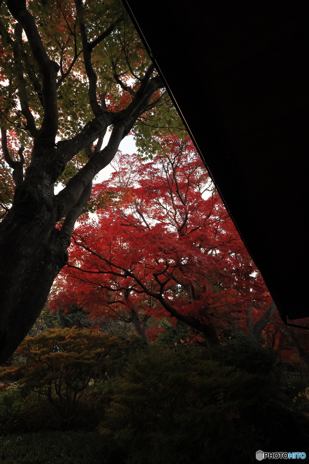 夕刻の離宮公園4