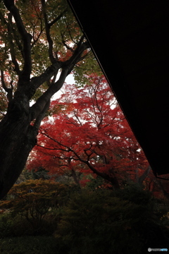 夕刻の離宮公園4