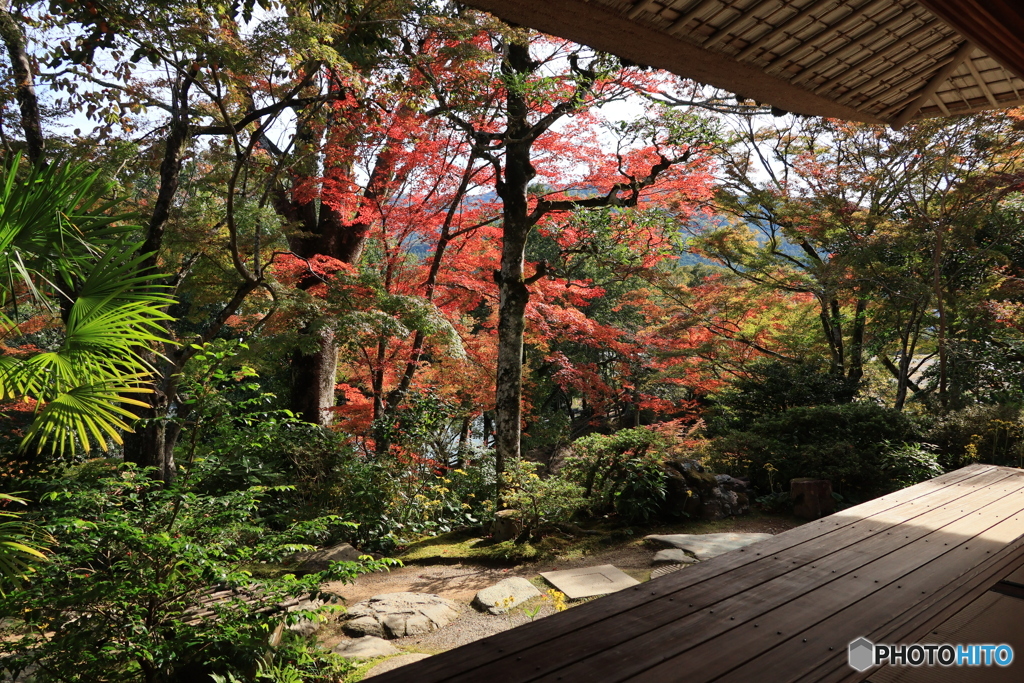 2025四国一人旅4-23