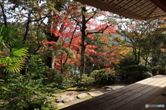 2025四国一人旅4-23