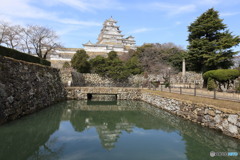 3/31姫路城6