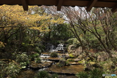 3/31好古園2