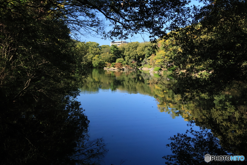 2025四国一人旅3