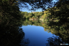 2025四国一人旅3