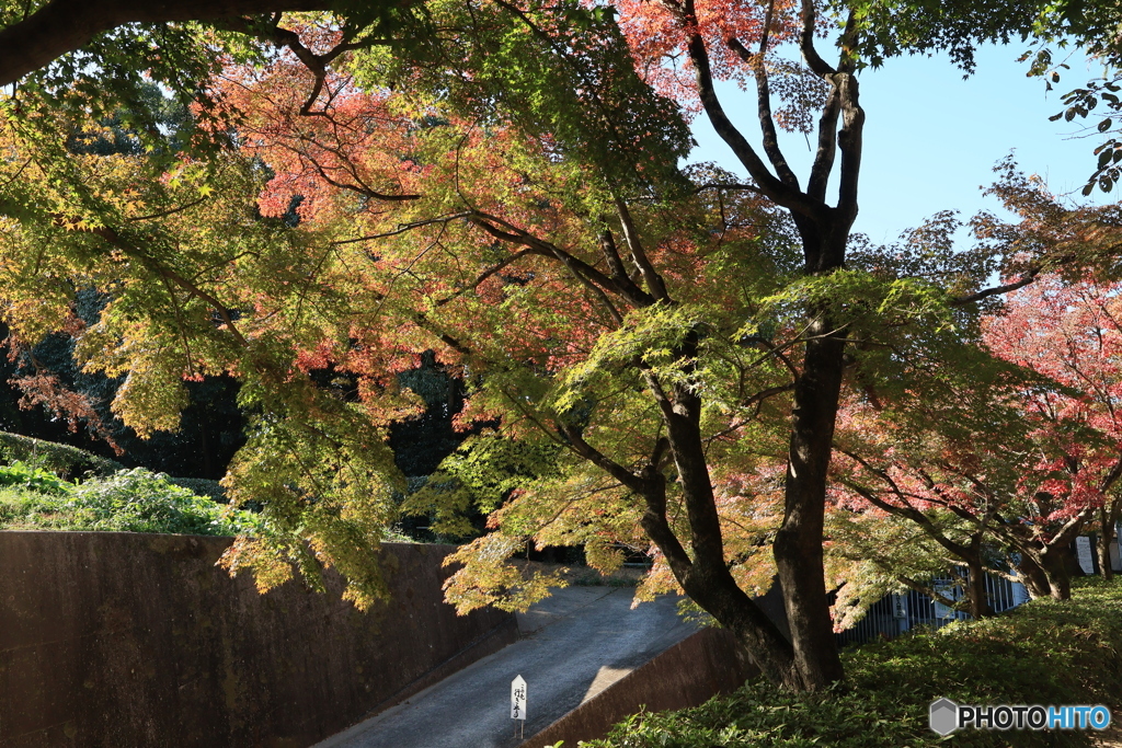 2025四国一人旅5-7