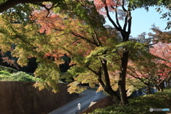 2025四国一人旅5-7