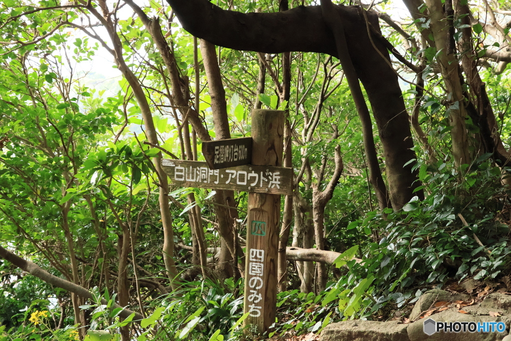 2025四国一人旅3-16