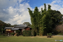 2025四国一人旅4-9