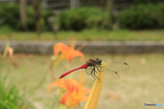 お気に入りの場所