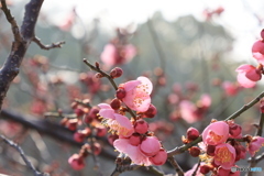 夕陽に照らされて