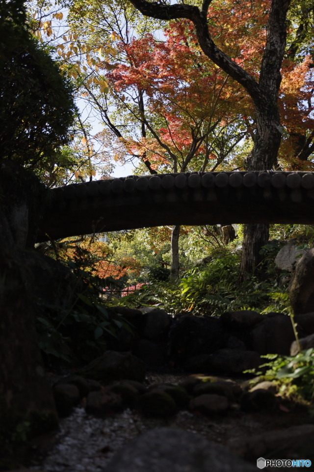 晩秋の相楽園27