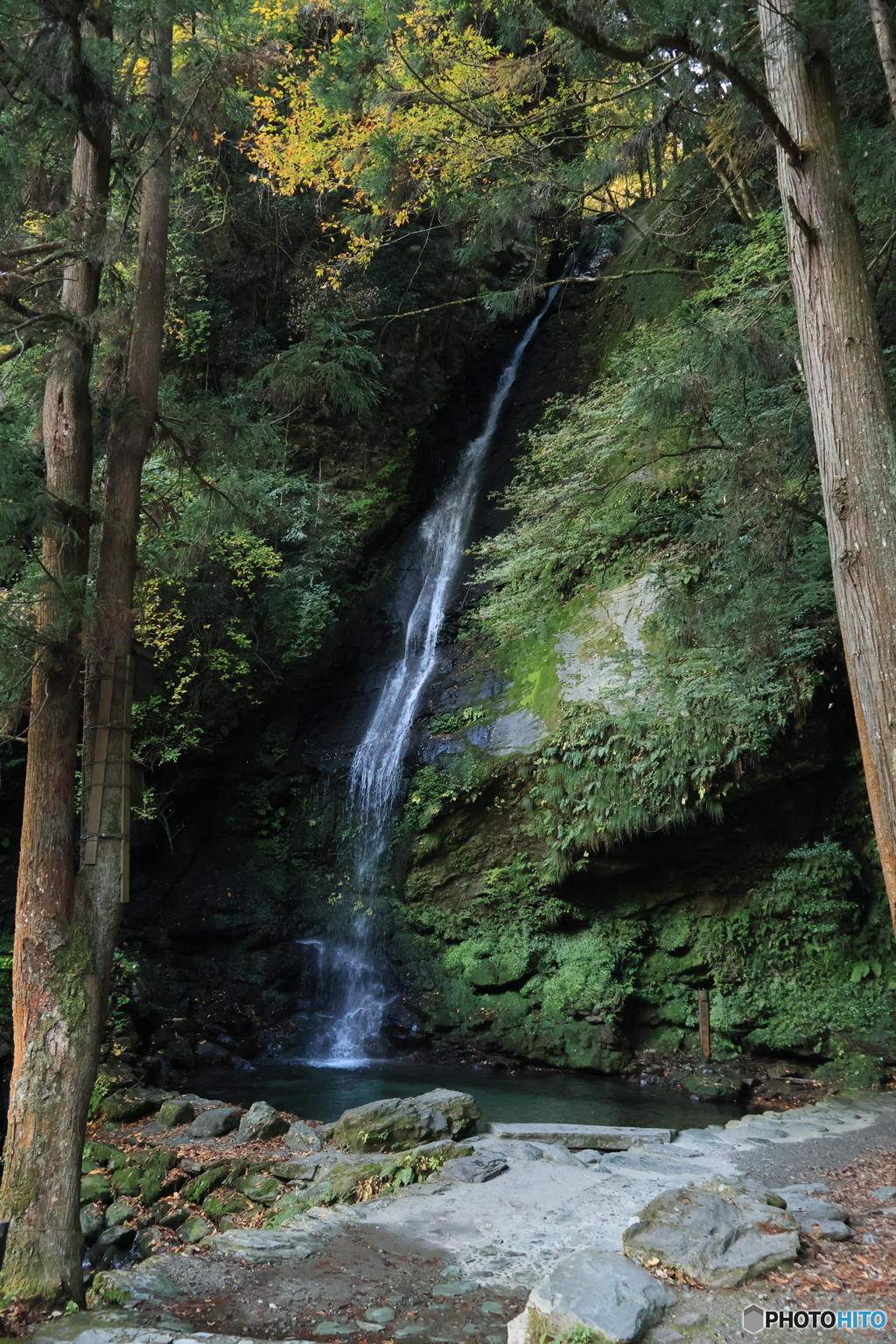 2025四国一人旅2-5