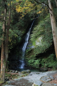 2025四国一人旅2-5