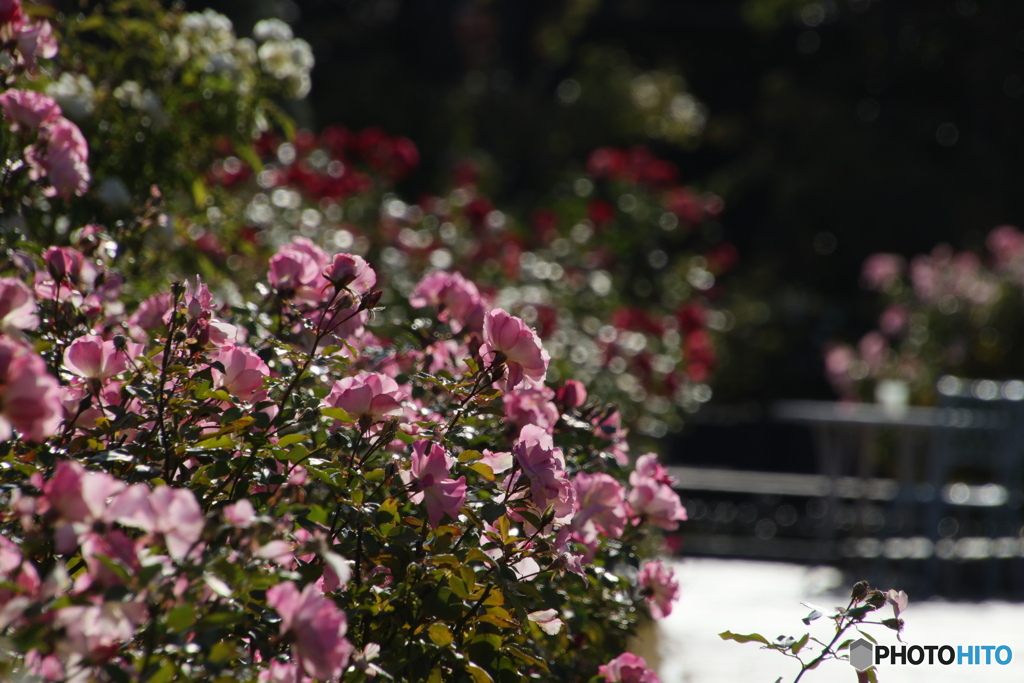 ③レンズ比較 18-400