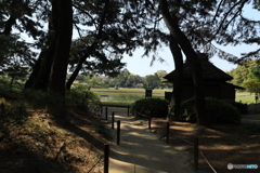 どんな景色かな？
