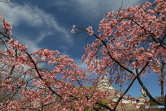 3/31姫路城2