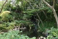 もみじ滝