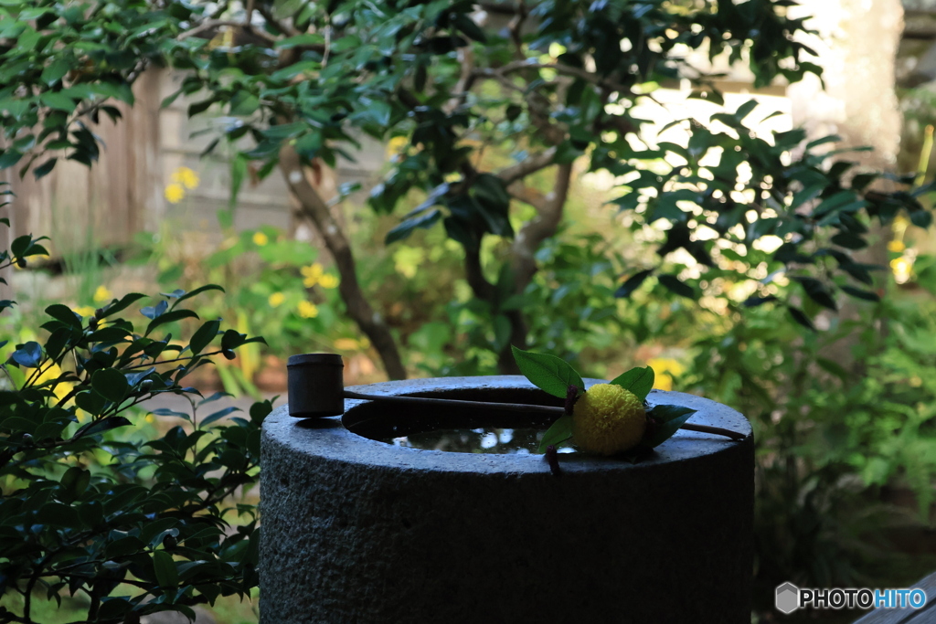 2025四国一人旅4-22