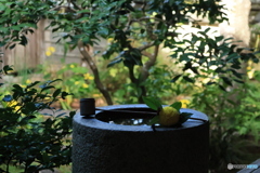 2025四国一人旅4-22