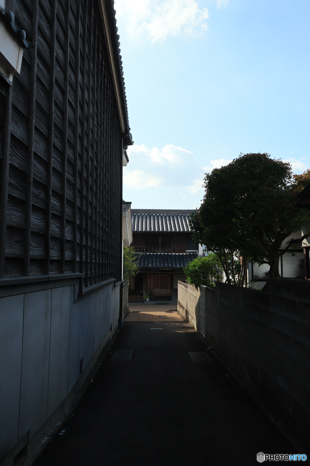 2025四国一人旅6-7