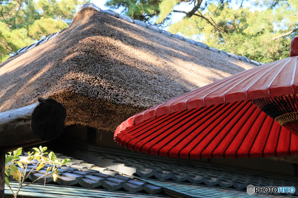 2025四国一人旅8