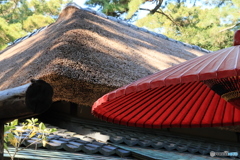 2025四国一人旅8