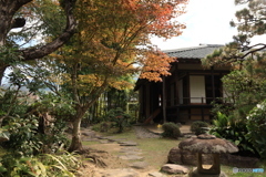 2025四国一人旅4-11