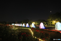 離宮公園ライトアップ12