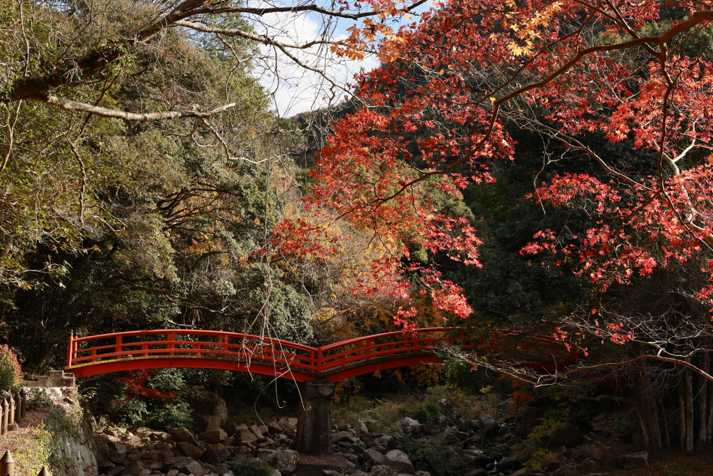 初冬の太山寺24