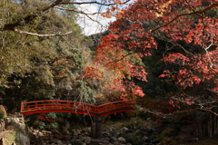 初冬の太山寺24