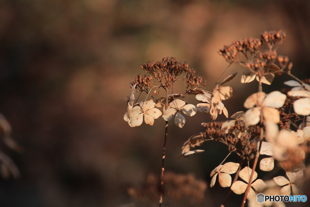 どうされますか？？