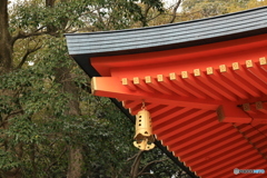 これは？