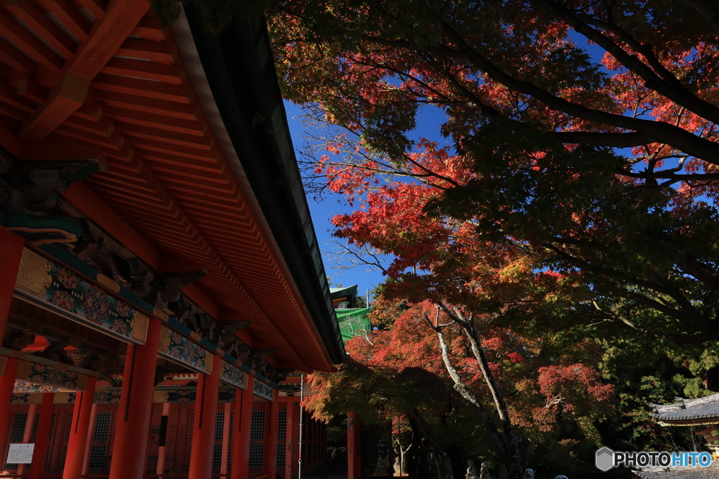 2025四国一人旅5-22