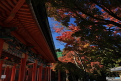 2025四国一人旅5-22