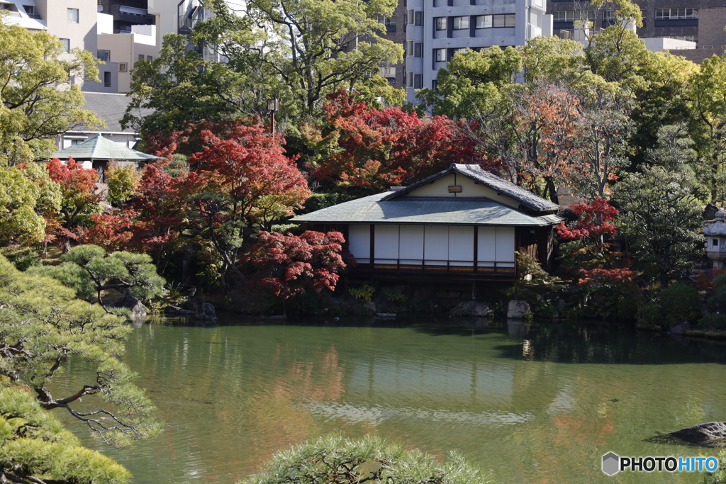 晩秋の相楽園14
