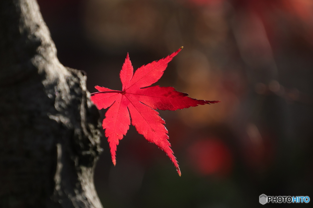 踏みとどまって