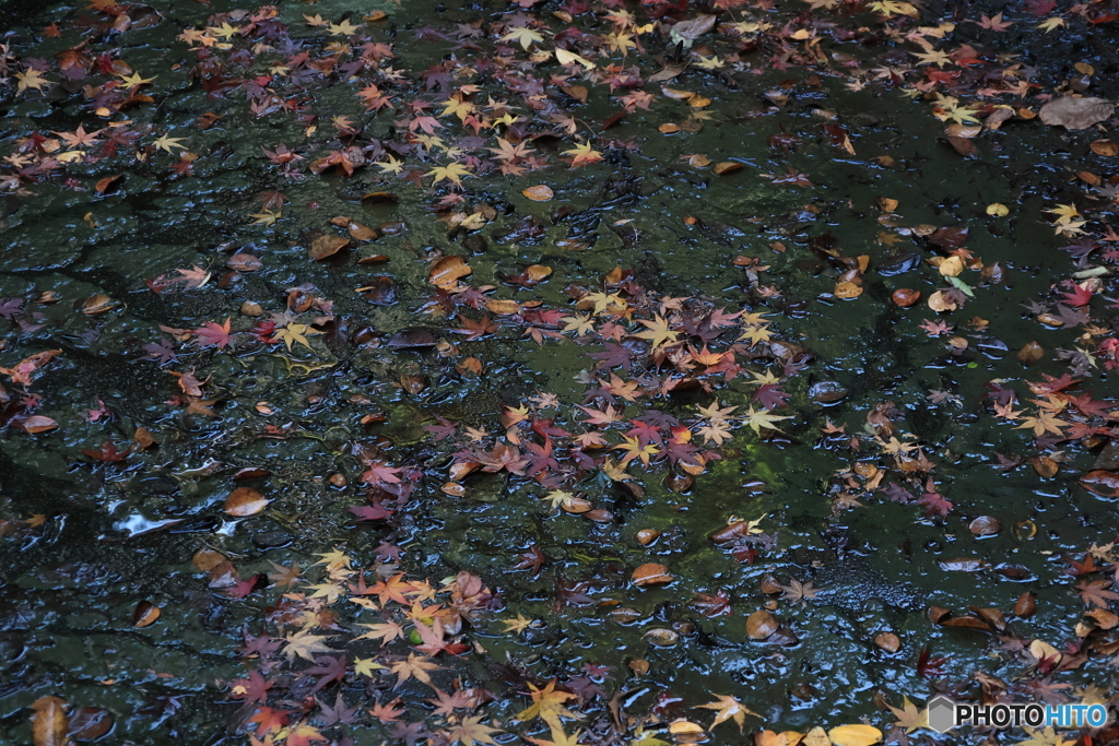 2025四国一人旅5-18