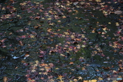 2025四国一人旅5-18