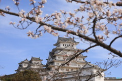 3/31姫路城3