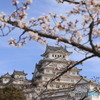 3/31姫路城3