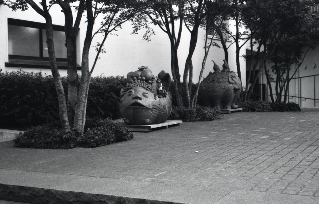 M3 DR Summicron50_F2  efke KB100_img425