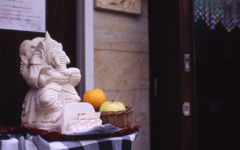 CONTAX Aria Planar85_F1.4 EKTACHROME100G
