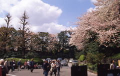 RTS2 Planar50_F1.4 EKTACHROME100VS_059