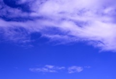 CONTAX_Aria Planar50mm_F1.4_Velvia100_im