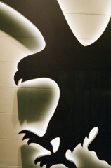 CONTAX Aria VS28-70 NATURA1600_img128