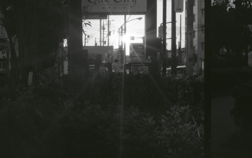M3 DR Summicron50_F2  APX400_img347