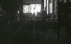 M3 DR Summicron50_F2  APX400_img347