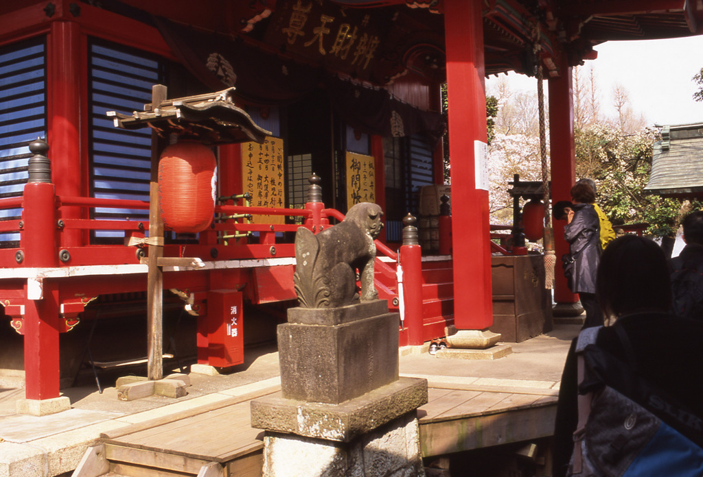 CONTAX Aria Distagon35_F1.4 AGFA_precisa